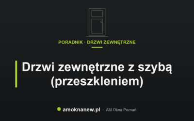 Drzwi zewnętrzne z szybą (przeszkleniem)